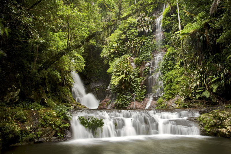 cool off in the Scenic Rim